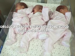 ტყუპები