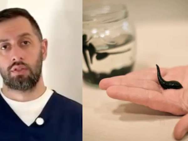 ლაშა სუხაშვილი ლაშა სუხაშვილი