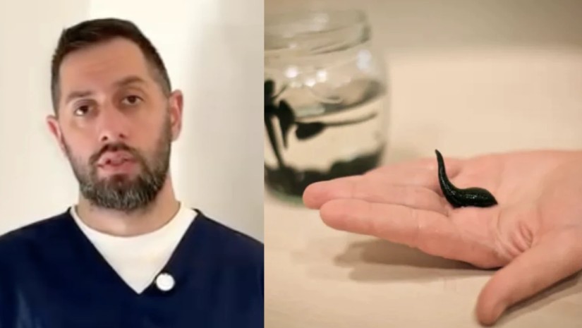  ლაშა სუხაშვილი 