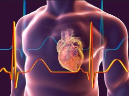 ახალი კვლევა