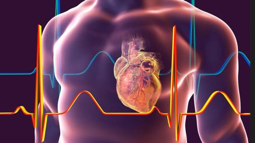 ახალი კვლევა