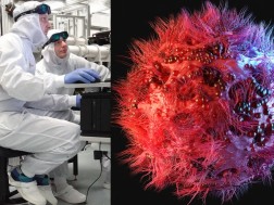 მეცნიერები - აივი