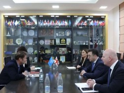 დავით სონღულაშვილი