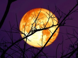 მთვარე მთვარე