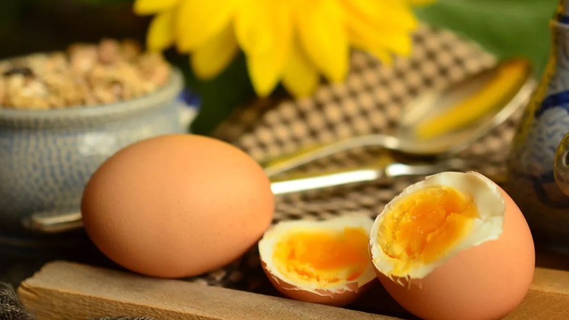 მოხარშული კვერცხი