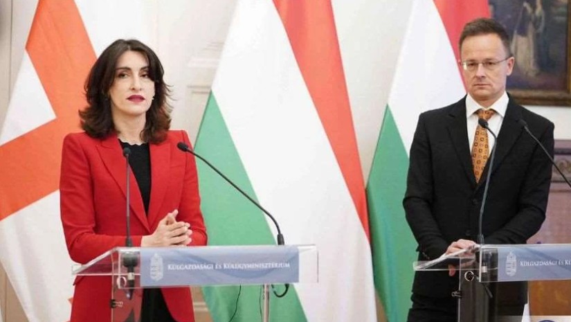 მაკა ბოჭორიშვილი პიტერ სიიარტო