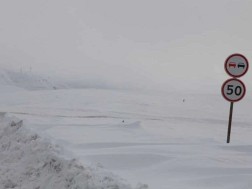 გუდაური