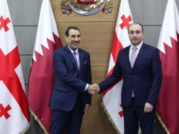 გეკა გელაძე კატარის სახელმწიფოს ახალდანიშნულ ელჩს შეხვდა