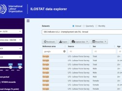 სამუშაო სიღარიბის დონე