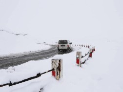 გუდაური - კობი