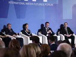 დავით სონღულაშვილი