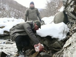 დათევზიანება