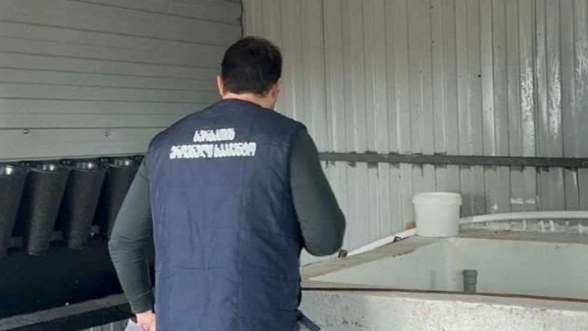 სურსათის სააგენტო