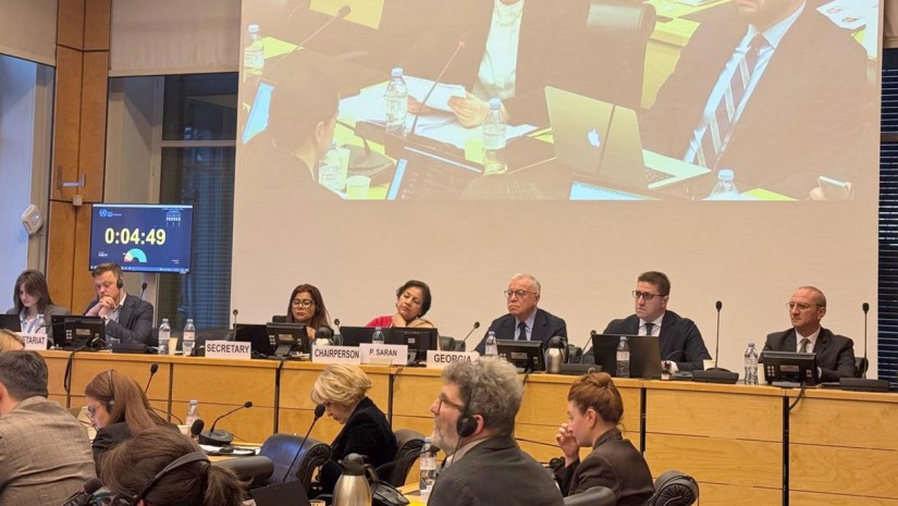 საქართველოს დელეგაცია ჟენევაში გაეროს ეკონომიკური, სოციალური და კულტურული უფლებების კომიტეტის სესიაში მონაწილეობს