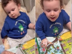 დამიანე