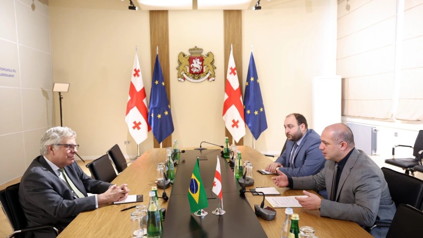 გივი მიქანაძემ ბრაზილიის ელჩთან შეხვედრა გამართა
