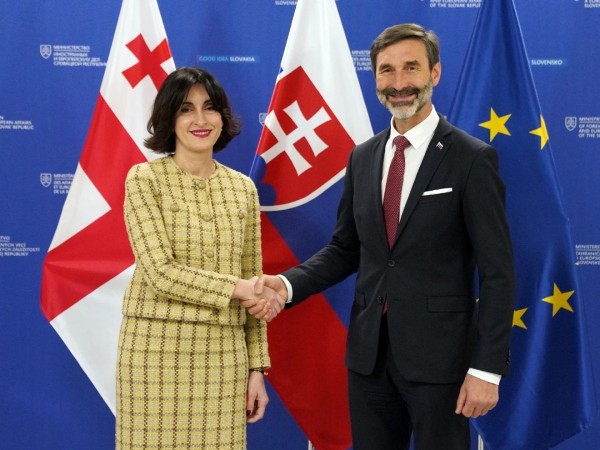 საქართველოს საგარეო საქმეთა მინისტრი, მაკა ბოჭორიშვილი სლოვაკეთის საგარეო და ევროპულ საქმეთა მინისტრს, იურაი ბლანარს შეხვდ