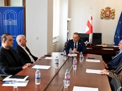 დიასპორის კომიტეტის სხდომაზე კომიტეტის საქმიანობის ძირითადი მიმართულებების შესახებ ინფორმაცია მოისმინეს