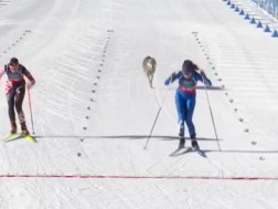 ტეზეროს სათხილამურო ტრასაზე ძაღლი შეიჭრა ტეზეროს სათხილამურო ტრასაზე ძაღლი შეიჭრა