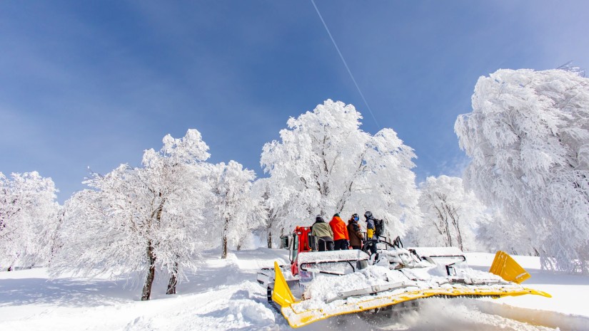 გოდერძი