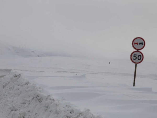 გზების დეპარტამენტი
