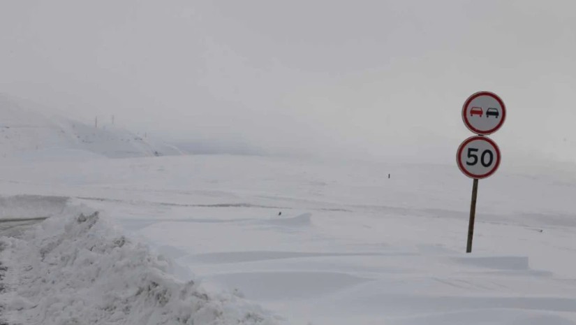 გზების დეპარტამენტი