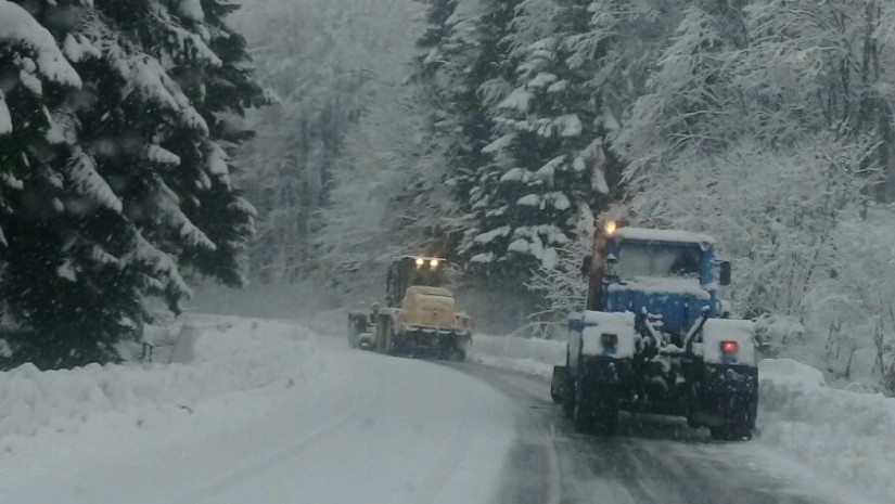 საზოგადოება
