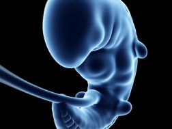 დაავადება