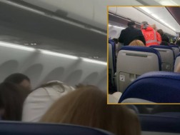 ლაინერში