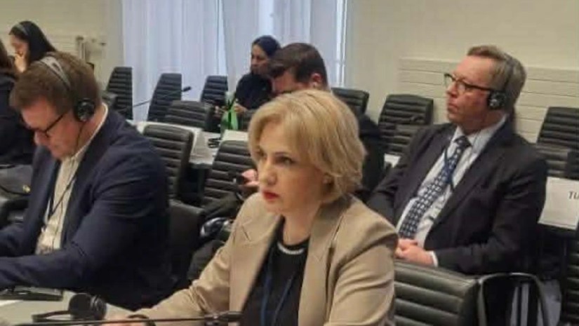 ეკა სეფაშვილი