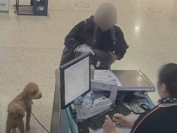 აეროპორტი