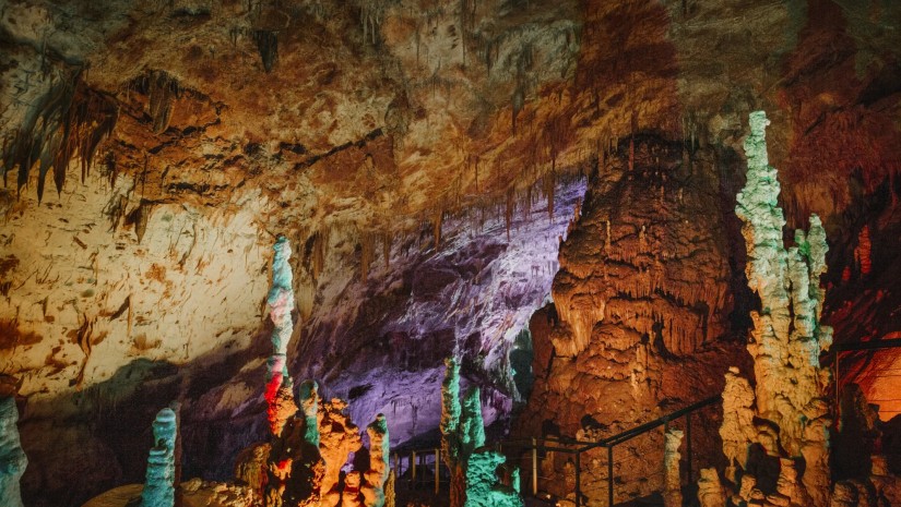 დაცული ტერიტორიები