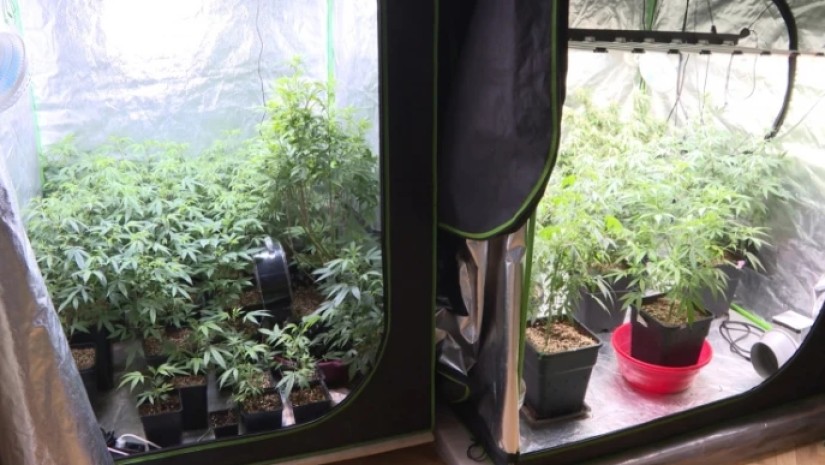 კუსტარული ნარკოლაბორატორია