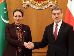 მიხეილ ყაველაშვილი