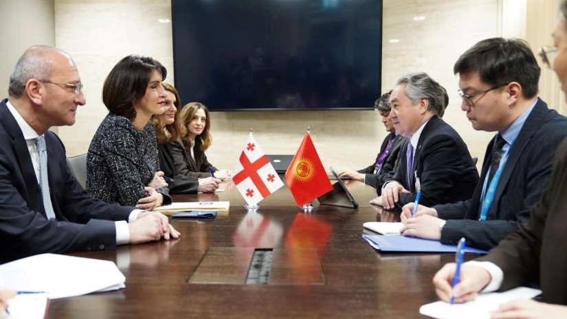 მაკა ბოჭორიშვილი