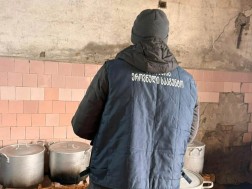 სურსათის ეროვნულმა სააგენტო