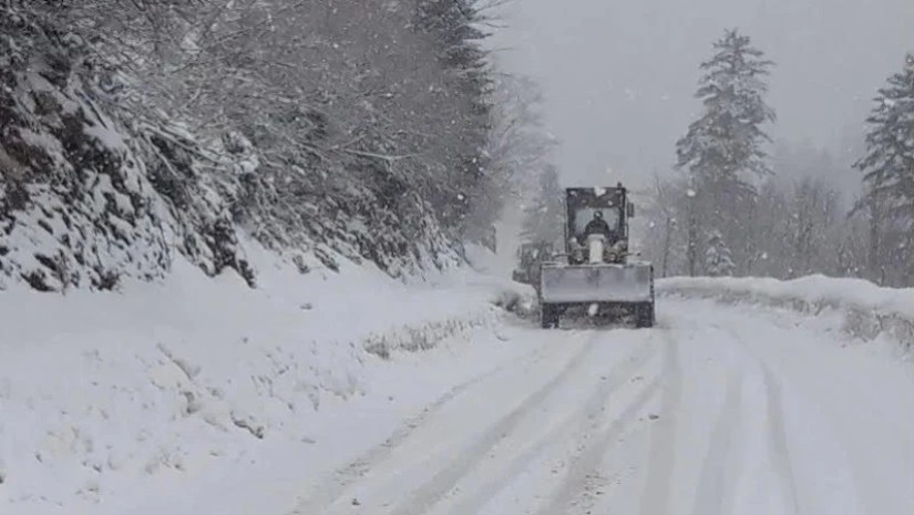 გომის გზა