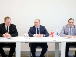 მიქანაძე