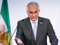 რეზა ფეჰლევი