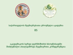 კონფერენცია