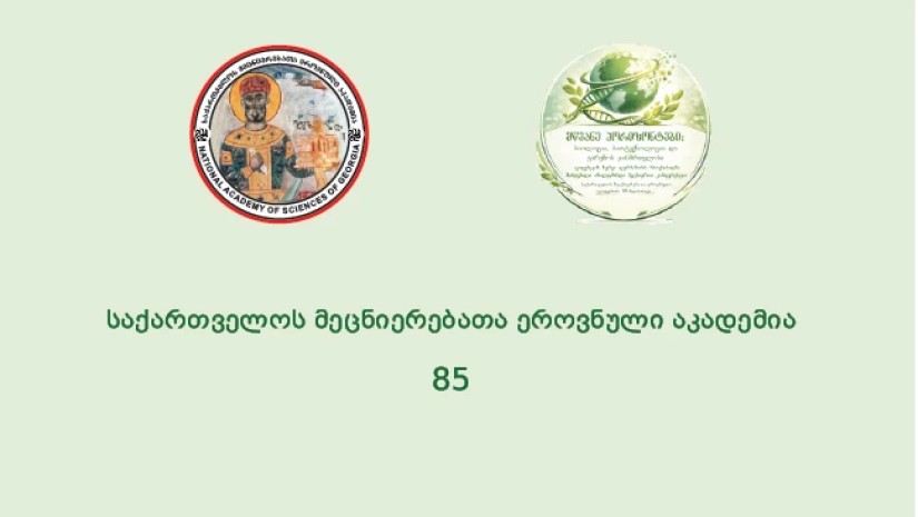 კონფერენცია