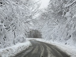 მცხეთა-შიომღვიმის მონასტრის გზა