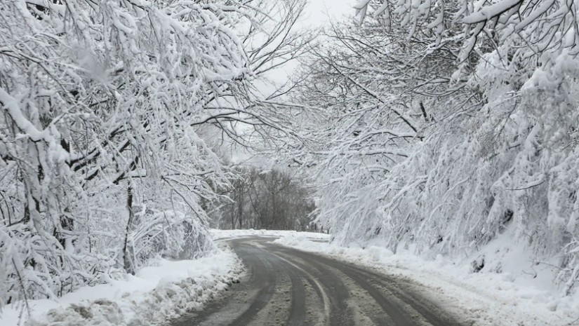 მცხეთა-შიომღვიმის მონასტრის გზა