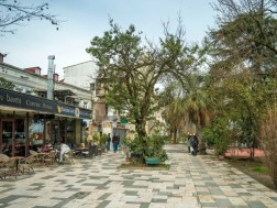 გოგებაშვილის ქუჩა