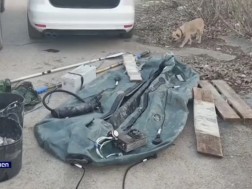 ბრაკონიერობა