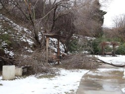 თბილისის მერია