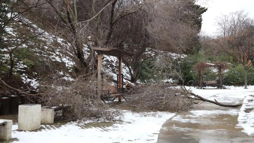 თბილისის მერია