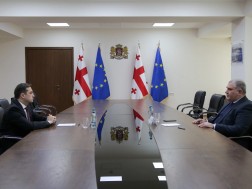 მიხეილ სარჯველაძე - ლევან იოსელიანი