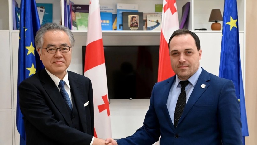 გიორგი გაბუნია იაპონიის ელჩს შეხვდა