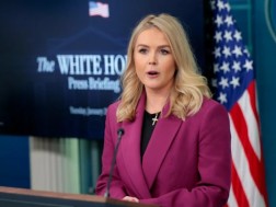 ეროლაინ ლევიტი